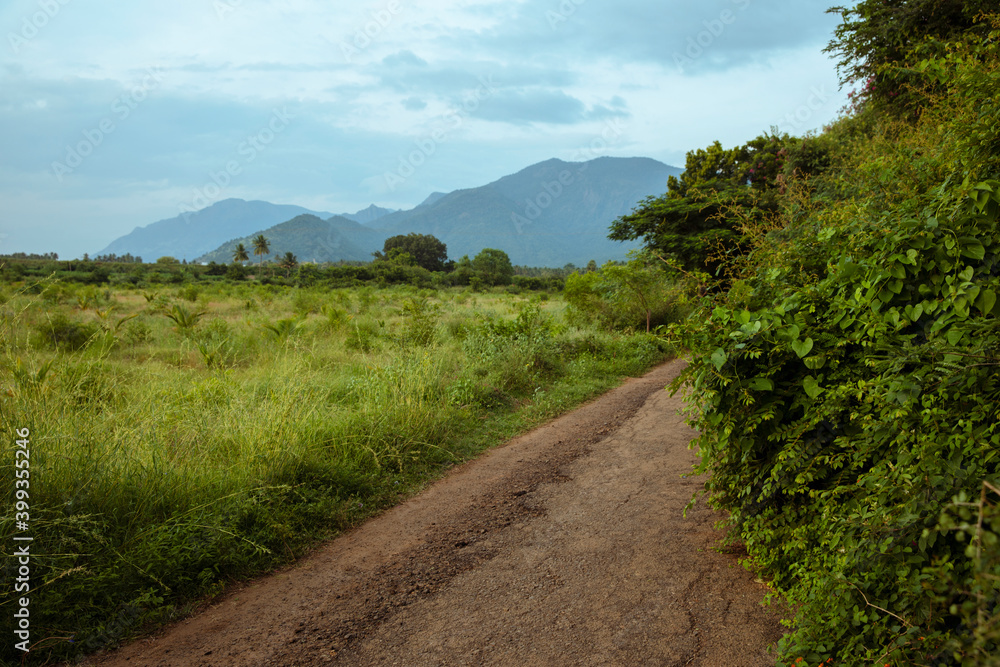 Obraz premium Country road in indian rural place.