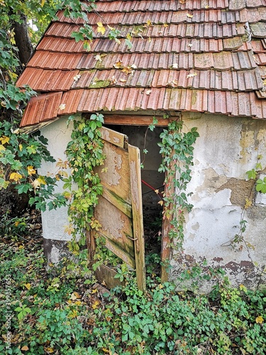 Verfallenes, verlassenes und verwachsenes Haus - Lost Place - Mutter Natur holt sich alles zurück photo