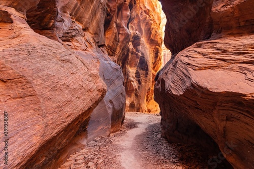 Bild auf Leinwand Beautiful landscape around Buckskin Gulch slot canyon