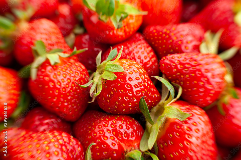 strawberry group macro closeup focus detail strawberry group macro closeup focus detail