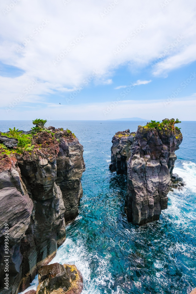 Naklejka premium 静岡県伊東市の城ケ崎海岸