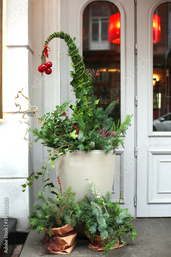 Potted fir tree near the entrance door to the house. Christmas outdoor house decorations