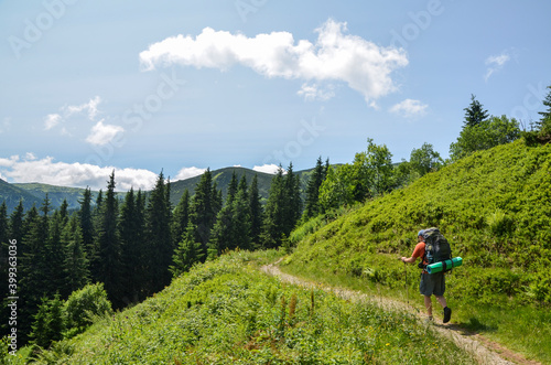 Hiker with big backpack and poles in hand going on the mountain trail. Walking outdoors in the mountains. Carpathians, Ukraine