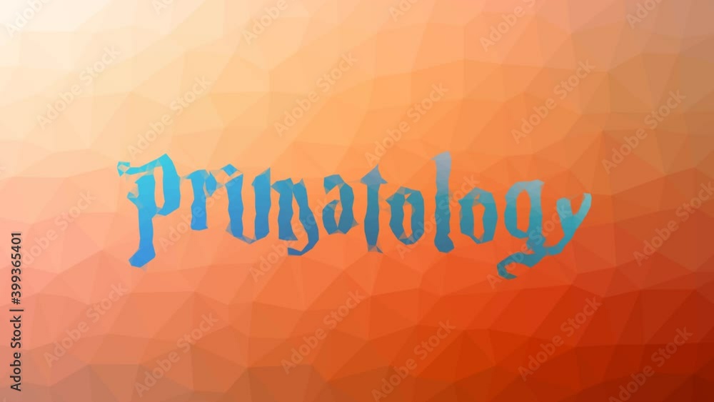 Primatology Dissolving Weird Tessellating Looping Animated Triangles Primatology Dissolving Weird Tessellating Looping Animated Triangles