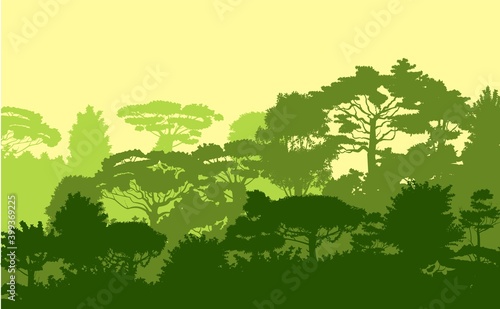 Deciduous forest. Silhouette. Mature  spreading trees. Thick thickets. Hills overgrown with plants. Sky. Vector