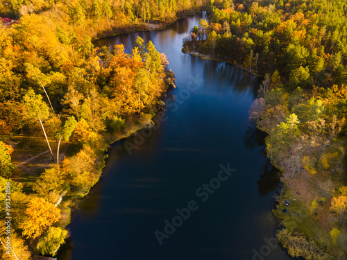 Fototapeta Naklejka Na Ścianę i Meble -  Aerial view of the autumn forest near the river in the afternoon