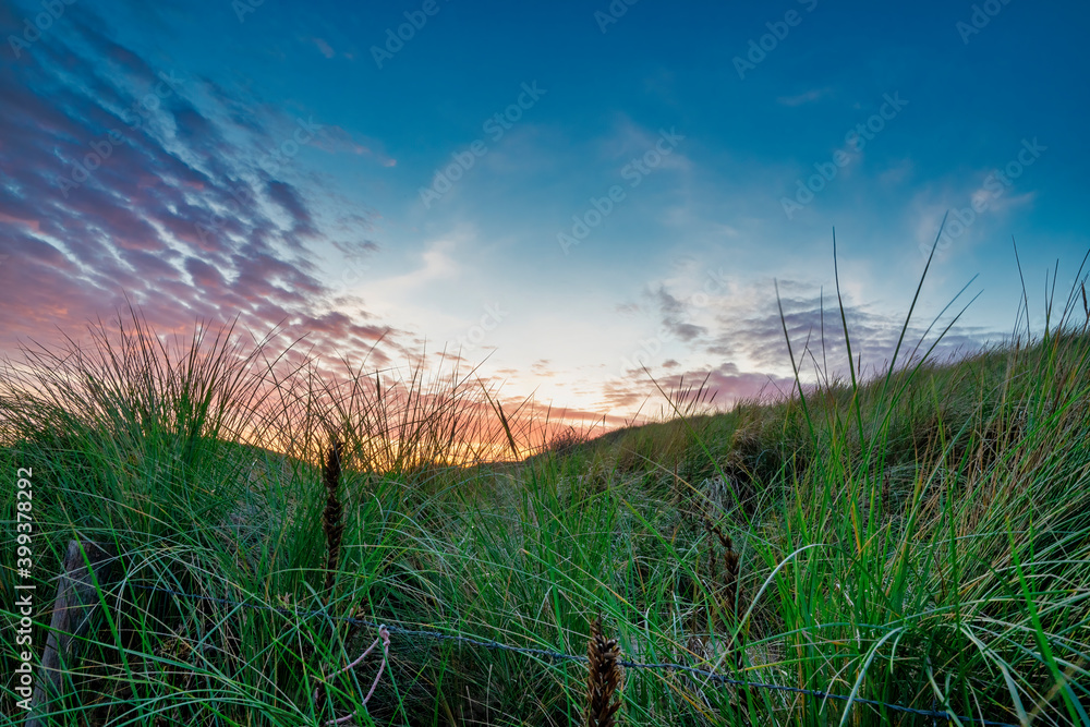 Fototapeta premium Beautiful blue and orange colors of the sun setting behind a dune, during sunset. Grass in foreground