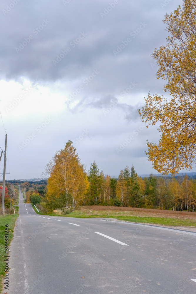 Fototapeta premium 北海道のジェットコースターの路