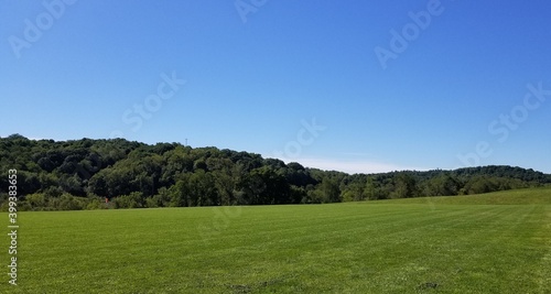 field and blue sky