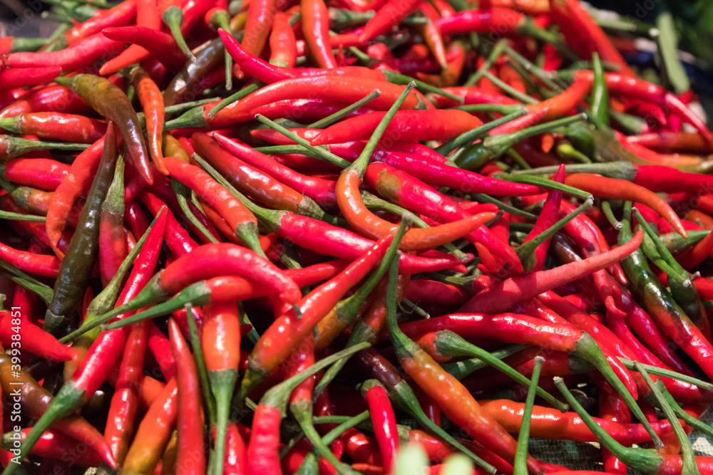 Red fresh chili at a market Red fresh chili at a market