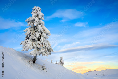 Baum in verschneiter Berglandschaft im Winter bei Sonnenuntergang photo