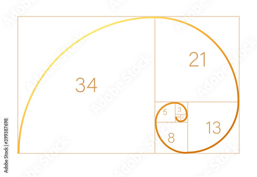Abstract illustration with golden ratio on black background. Spiral pattern. Line drawing. Vector illustration.