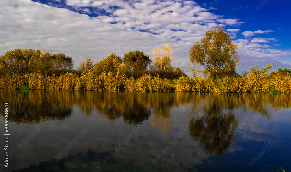 autumn trees reflected in water