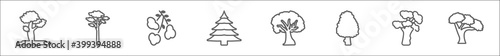 outline set of nature line icons. linear vector icons such as pignut hickory tree, pitch pine tree, eastern cottonwood tree, balsam fir sycamore american larch scarlet oak black locust