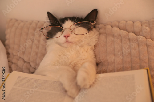 Cute cat with glasses and book sleeping on bed at home, closeup