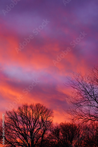 Partially clouded red sky during sunset with tree silhouette 