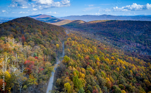 Aerial view of dirt road stretching in George Washington and Jefferson National Forests in autumn