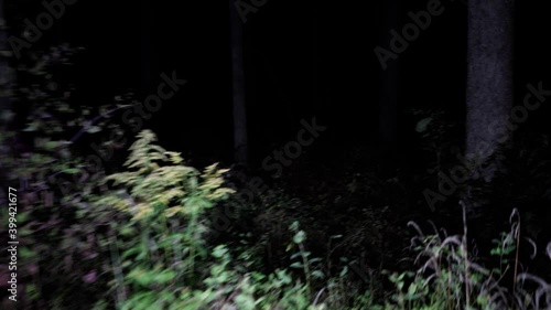 Walking through scary woods at night. Wandering thorough deep forest at night. Scared and lost  running away from monsters and death, lost and alone in the dark. 