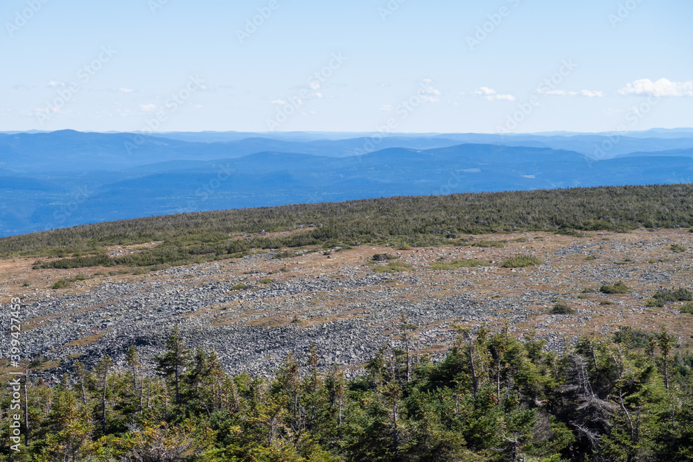Naklejka premium View of the toundra at the mount Jacques Cartier in the Gaspésie national park, Canada