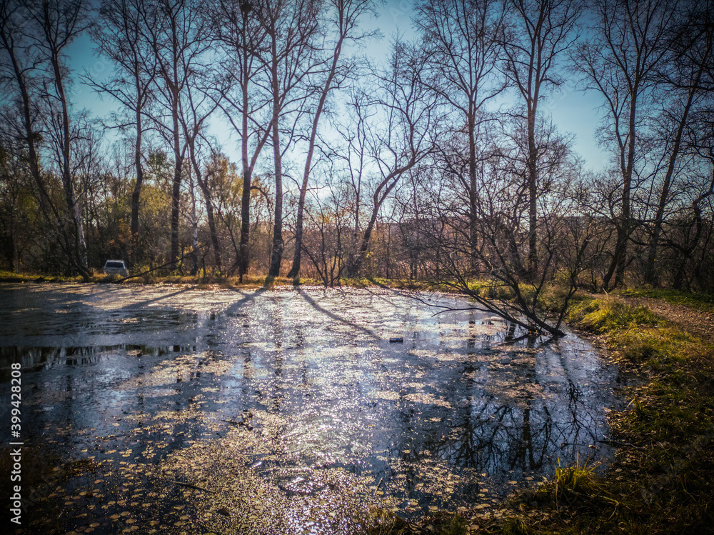 A picturesque lake among the autumn forest. A picturesque lake among the autumn forest.