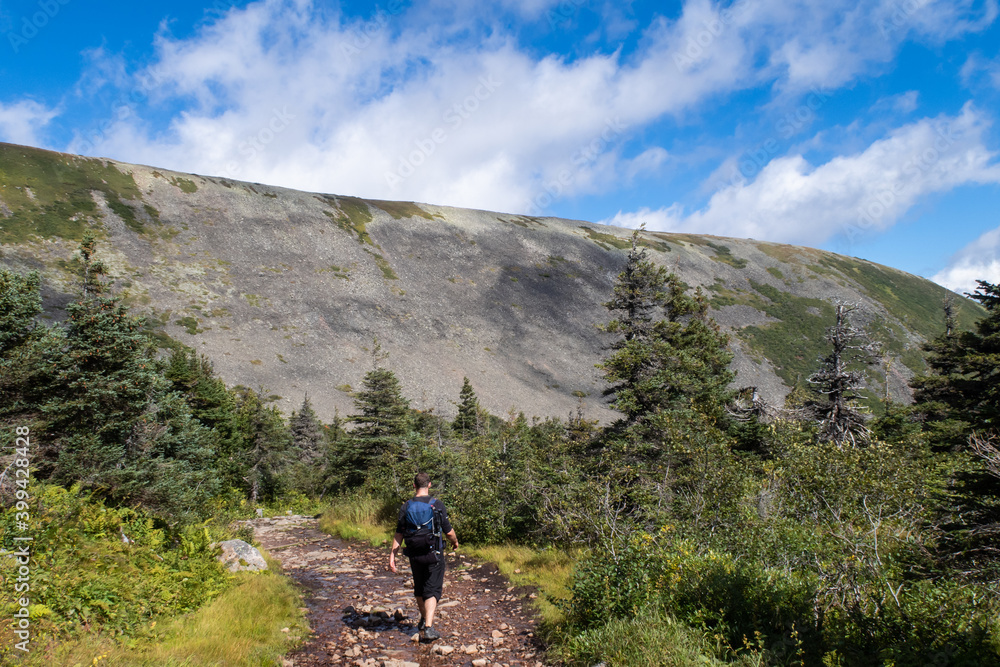 Back view of a man carrying a backpack in the Gaspésie national park, Canada