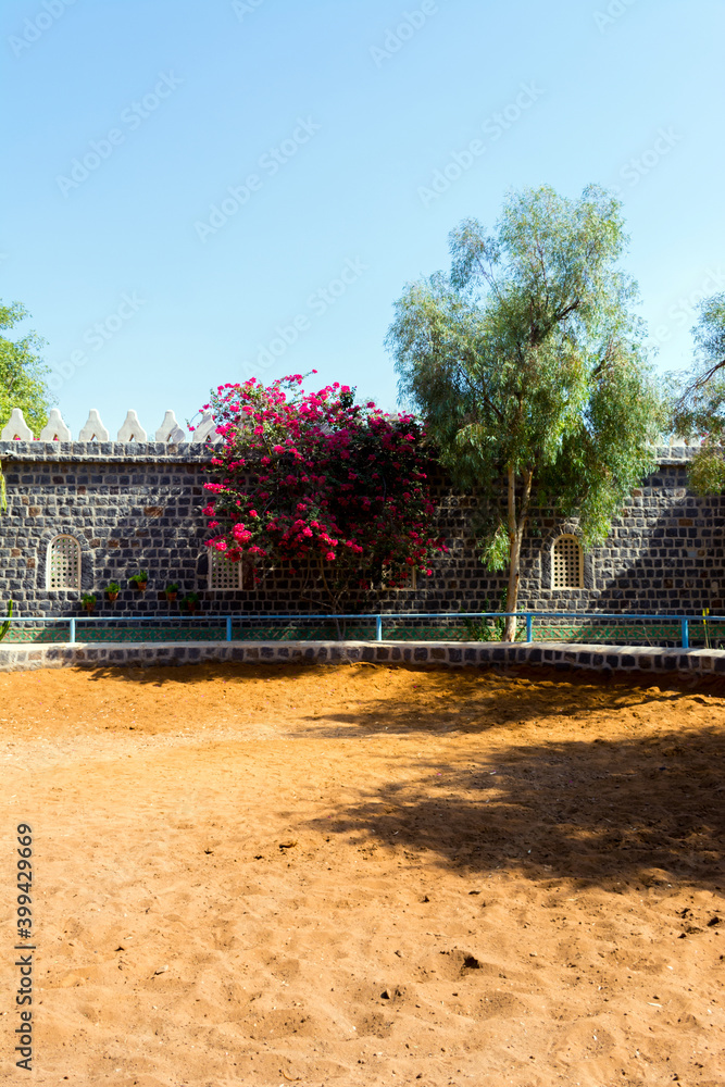 Obraz premium Horse-stable