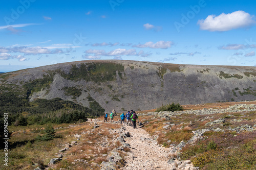 Group of hikers at the mount Jacques Cartier, in the Gaspésie national park, Canada