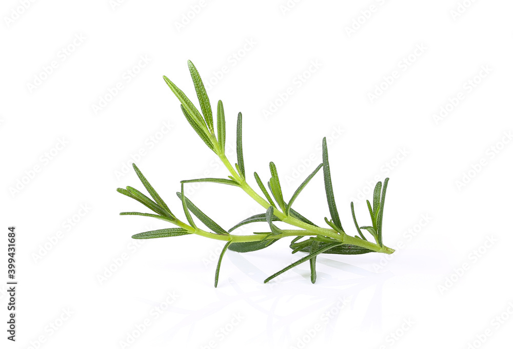 Fototapeta premium Rosemary isolated on white background