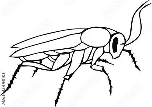 Line art cockroach vector illustration