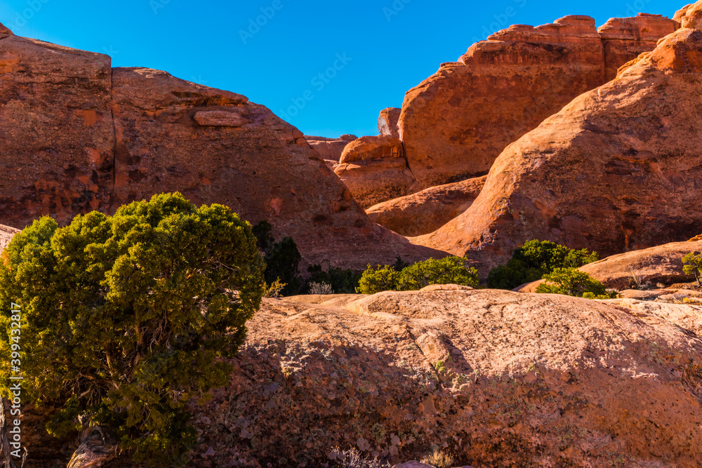 The Red Sandstone Fins of Fin Valley on The Devils Garden Primitive Trail,  Arches National Park, Utah, USA