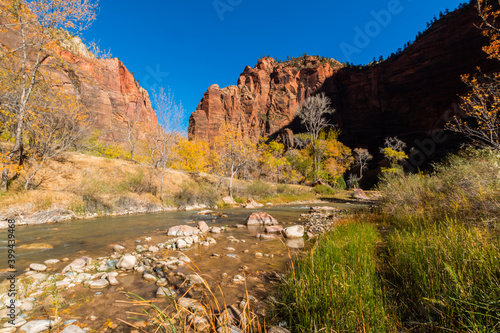 The Virgin River Flowing Past The Pulpit In The Temple of Sinawava, Zion National Park, Utah, USA photo