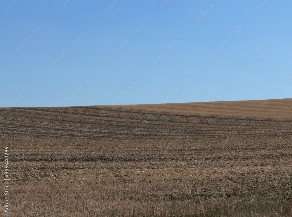 Stubble Field, Harvested Grain Fields, Rhinehesse