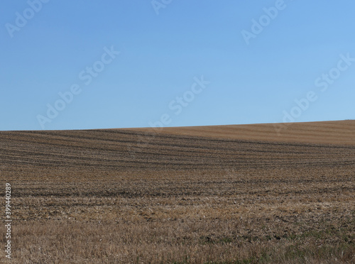 Stubble Field, Harvested Grain Fields, Rhinehesse