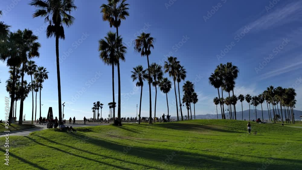 People walking between green grass fields and palm trees busy day at the Venice beach Boardwalk, in Los Angeles - static view People walking between green grass fields and palm trees busy day at the Venice beach Boardwalk, in Los Angeles - static view