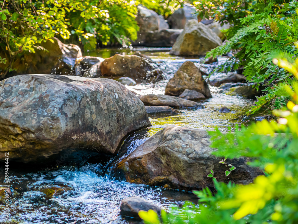 Mountain stream