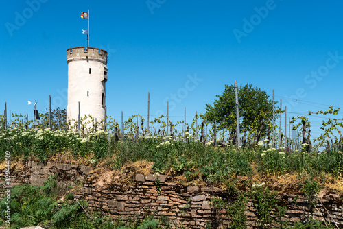 Historic watchtower in the vineyards near Nierstein photo