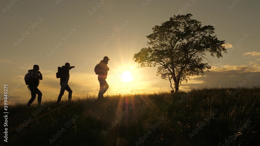 three travelers walk along top of hill past a lone tree in the sun. teamwork of tourists with backpacks following route. concept of hiking travel and outdoor adventure, in park, field and mountains.