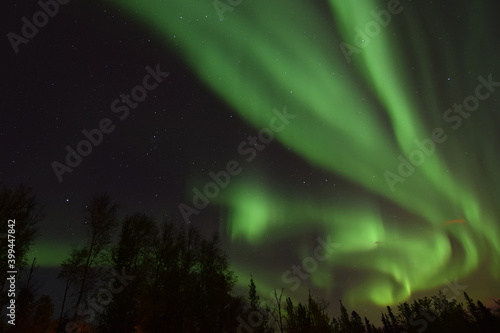Alaskan aurora borealis dancing in a winter sky