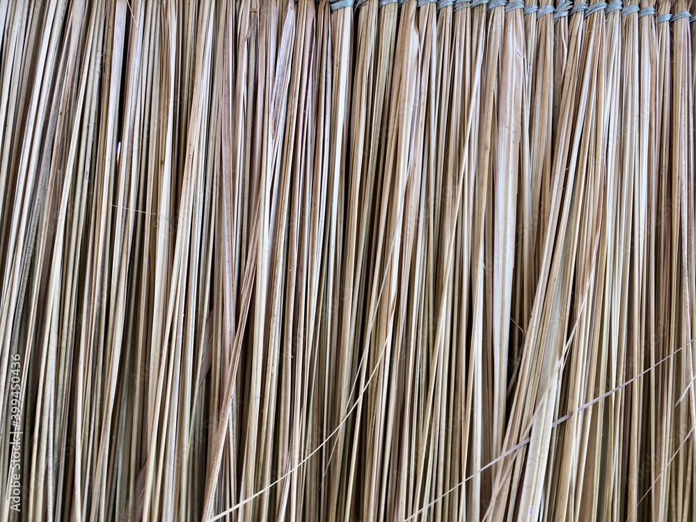Dry grass texture background Dry grass texture background