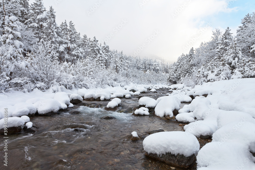 Beautiful winter landscape with snow-covered white forest along the banks of a fast mountain river after snowfall at cold day. Christmas holidays in the highlands. Natural background, calendar