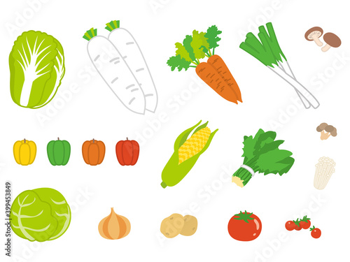 様々な野菜のイラスト