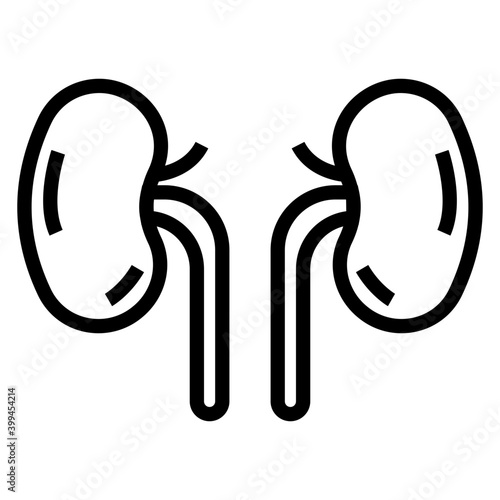 Kidneys icon in line design 