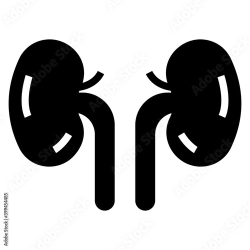 Kidneys icon in glyph design 