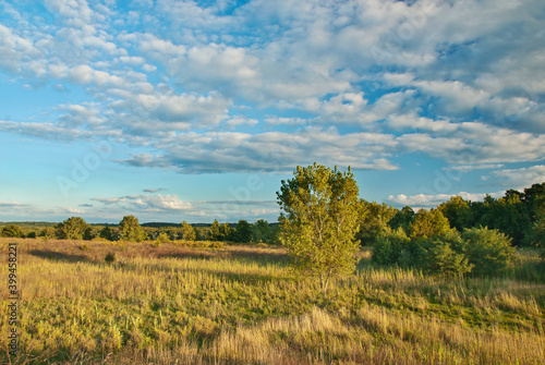 515-24 Buffalo Plains