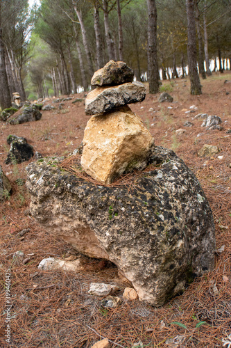 Hito de piedras acumuldas en el bosque