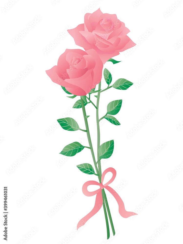 リボンで結んだピンクの2輪の薔薇のイラスト リボンで結んだピンクの2輪の薔薇のイラスト