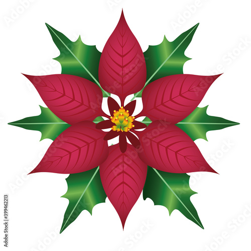 happy merry christmas garden red flower and leafs decoration