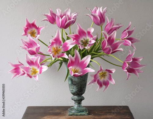 Wallpaper Mural バラード Torontodigital.ca