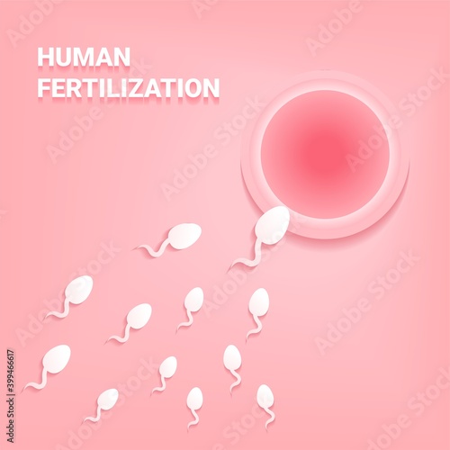 Sperm that runs towards the egg. Human fertilization. Illustration vector