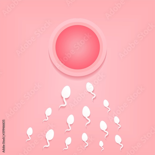 Human fertilization. Sperm and egg. Sperm that runs towards the egg. Illustration vector